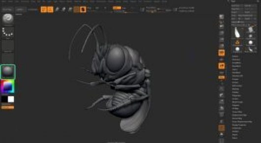 instal the new version for ios Pixologic ZBrush 2023.1.2